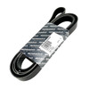 Drive Belt - PQS101480