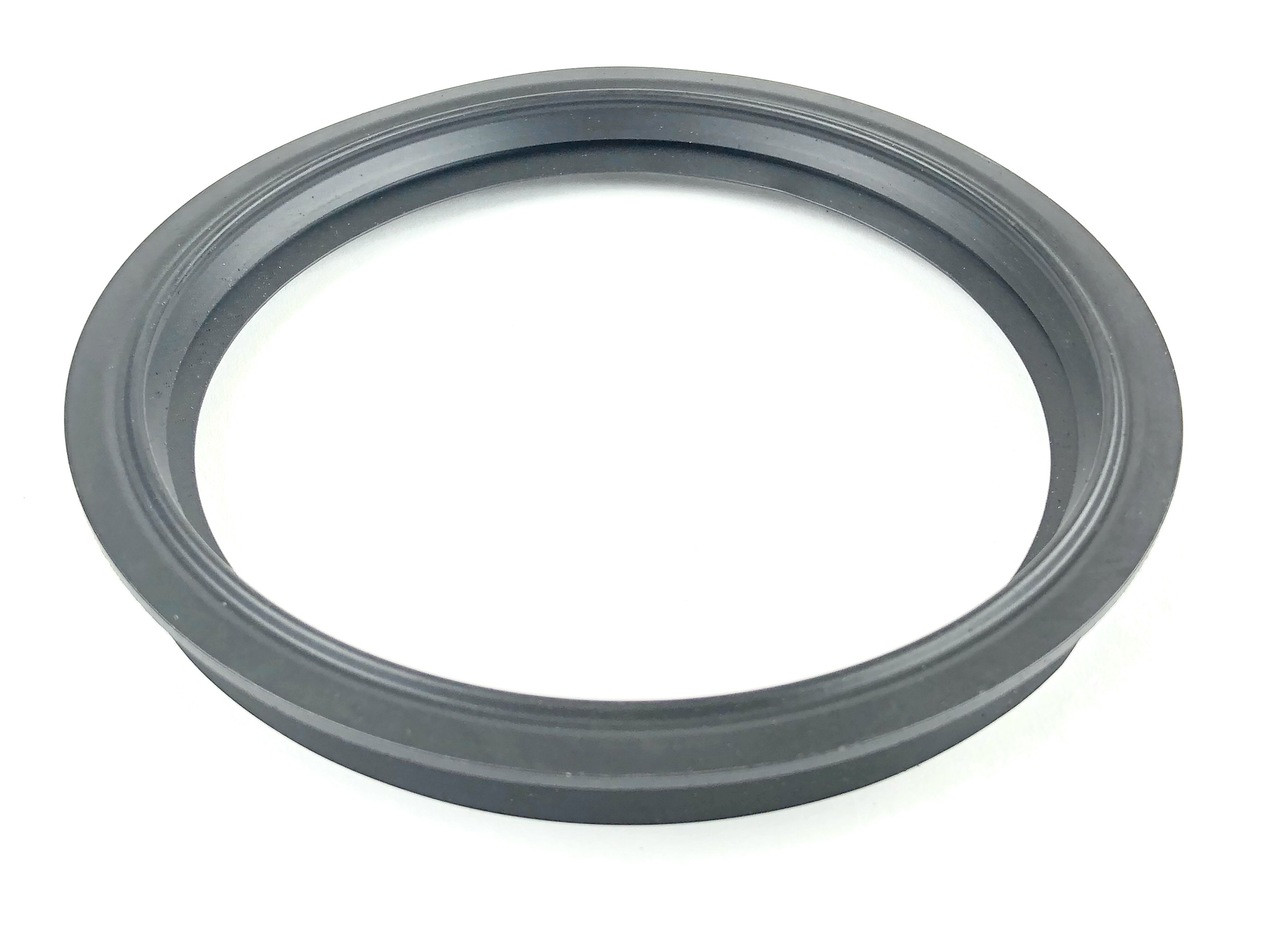 Fuel Pump Seal - WGQ500020