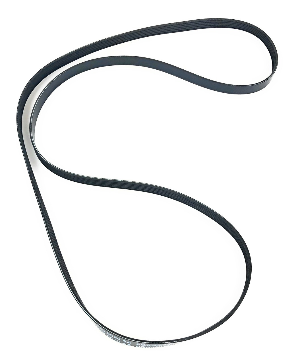 Main Drive Belt - PQR500330