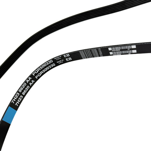 Primary Belt - PQR500330
