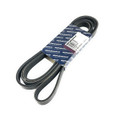 Drive Belt - PQR500340