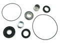 LR2 Rear Pinion Bearing and Seal Kit