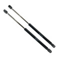 Tail Gate Struts - ALR1050G