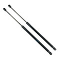 Tail Gate Struts - LR030618