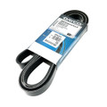 Drive Belt - PQR500320