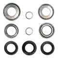 Rear Pinion Bearing and Seal Kit