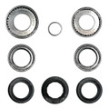 Rear Pinion Bearing and Seal Kit