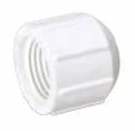 Mueller Industries PVC Threaded Cap 3/4" #448-007 50/bx