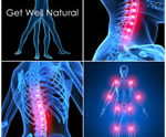 Spine Muscle Joint Health Graphical Image