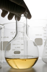 Glass Beaker