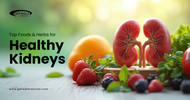 Nourishing Your Kidneys: Top Foods & Herbs for Optimal Kidney Health Nourishing Your Kidneys: Top Foods & Herbs for Optimal Kidney Health