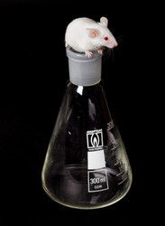 Antibodies Antibodies
