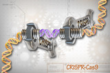 CRISPR-Cas9: The Gene Editing Revolution