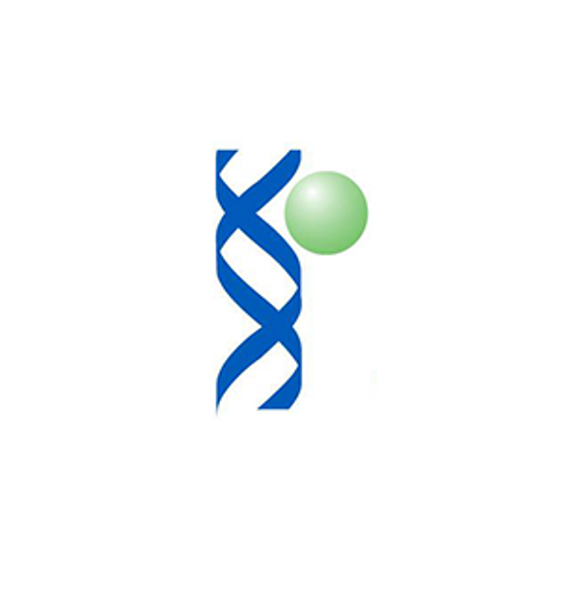 Gene Knock-Out HR Targeting Vector w/Single Selection Marker (Blasticidin) and Negative Selection (TK) Against Random Integration | HR720PA-1