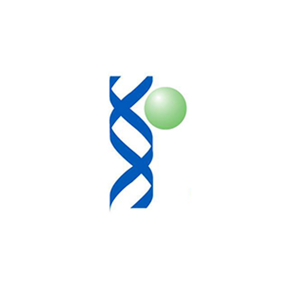 pMSCV-Human Foxp3-EF1-GFP-T2A-Puro lentivector plasmid | TCL200A-1