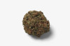 Bangkok Purple THCA Flower 1 Gram 22.355% Sativa Dominant GreenRX™ Sun Prairie Wisconsin