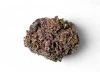 Girl Scout Cookies THCA flower 1/8 oz sealed bag — GreenRX™ Sun Prairie WI