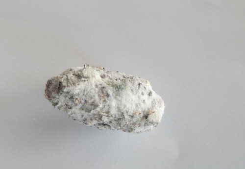 THCA Snow Caps Sun Prairie Dispensary