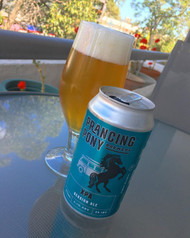 Prancing Pony XPA 375ml Can 