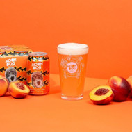​Moon Dog Sharon Stone Peach and Nectarine Sour Ale 330ml Can 