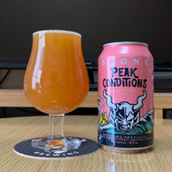 ​Stone Peak Conditions Hazy Double IPA 