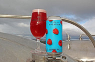 ​Vocation Raspberry Tart Sour Ale 