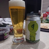 ​Nine Fingers Waltzin Ma Pilsner⠀