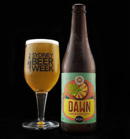 ​Temple Dawn American Sour Ale⠀