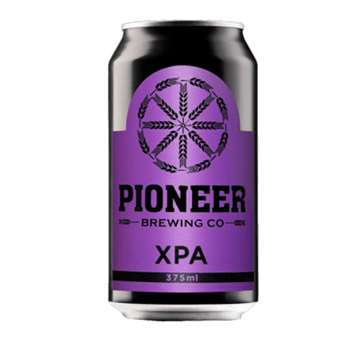 Pioneer XPA