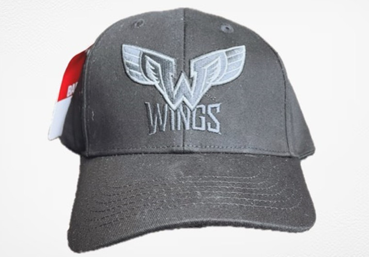Philadelphia Wings Trucker Hat