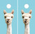 Super cute blue Alpaca cornhole wraps / skins / decals/ stickers