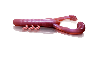 A & M Craw