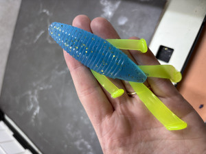 Mayhem Bug - 5"