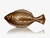Flounder