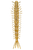 Helgi - 5"