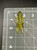 EVO Bug - 2.5"
