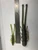 Split Stick - 2"