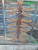 Section of Mold for Wings Section of Mold for Wings