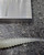 Riptail Shad Riptail Shad