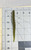 X-Cite Shad - 5"