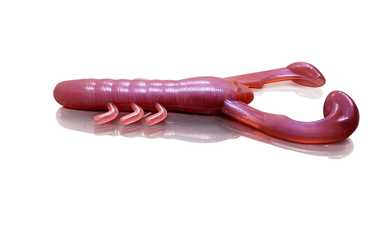 A & M Craw
