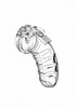 Mancage Chastity 4.5in Transparent Model 04
