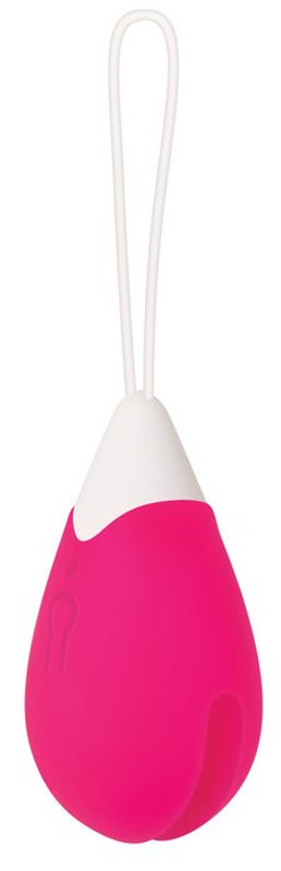 Rechargeable Egg Pink Vibrator Remote Control