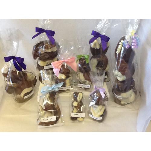 Patches Family - Hazel