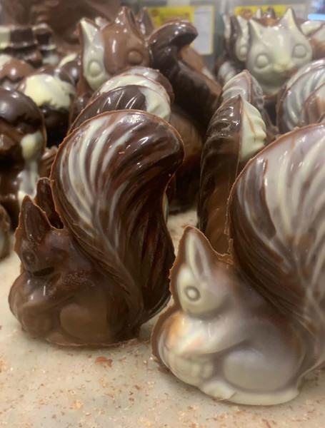 Patches Clan - Nucella