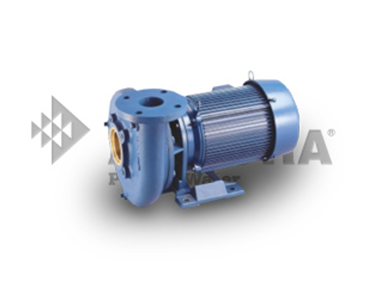 pentair pump motor