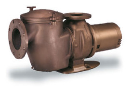 Pentair - C Series Commercial Bronze Pump - CH-75 - 347916 Pentair - C Series Commercial Bronze Pump - CH-75 - 347916