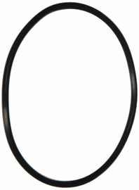 Pentair - Whisper Flo / Intelli Flo Lid O-Ring 2-436 - 350013 Pentair - Whisper Flo / Intelli Flo Lid O-Ring 2-436 - 350013