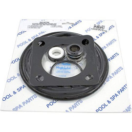  Go-Kit 54 Sta-Rite Dura glas/Maxi glass (44-6054)