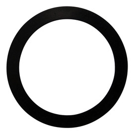 Pentair Gasket 2 Inch Bulkhead - 154538 Pentair Gasket 2 Inch Bulkhead - 154538